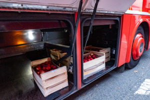 Transport de pommes dans un car liO de la région Ocitanie