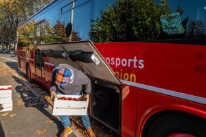 Déchargement des cagettes de pommes à l'arrivée du car lio